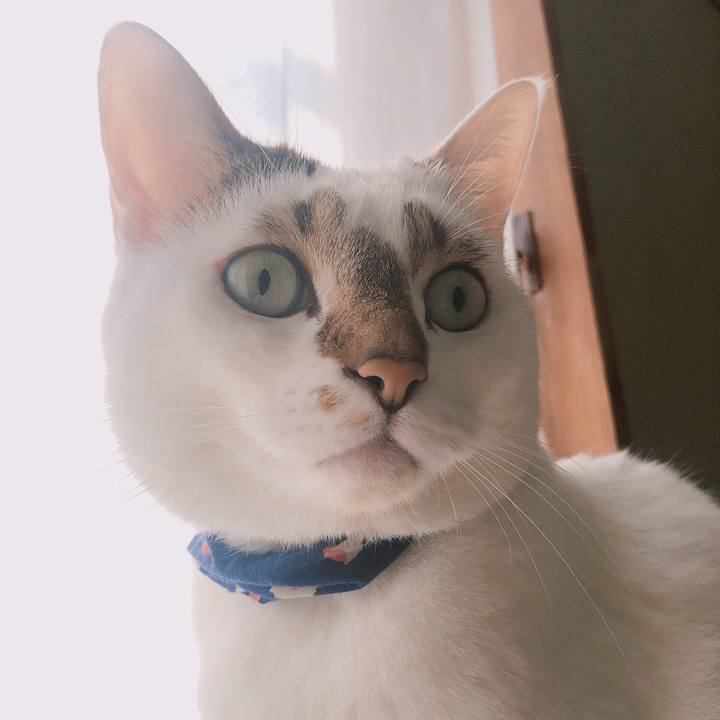 99776510 ecbd 469b ad06 feee7fb8ba70 1569384040526