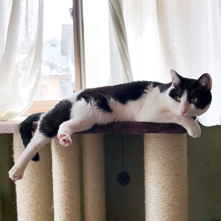 99778c7d f7e1 46f3 9b48 3f1c4b18e76d 1524620298478