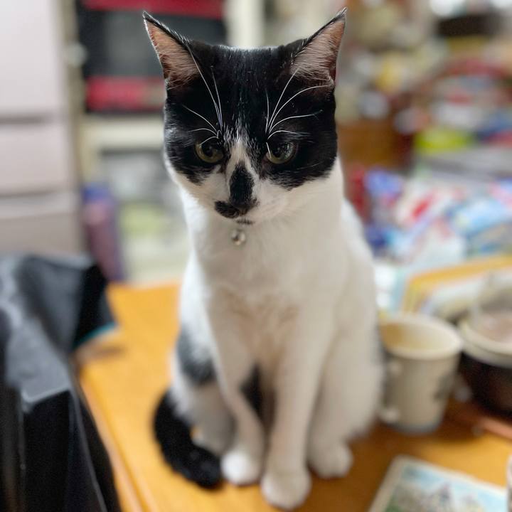 9977afaa 6f02 4f4c 9d5e 98a73cd4f75a 1763592761497