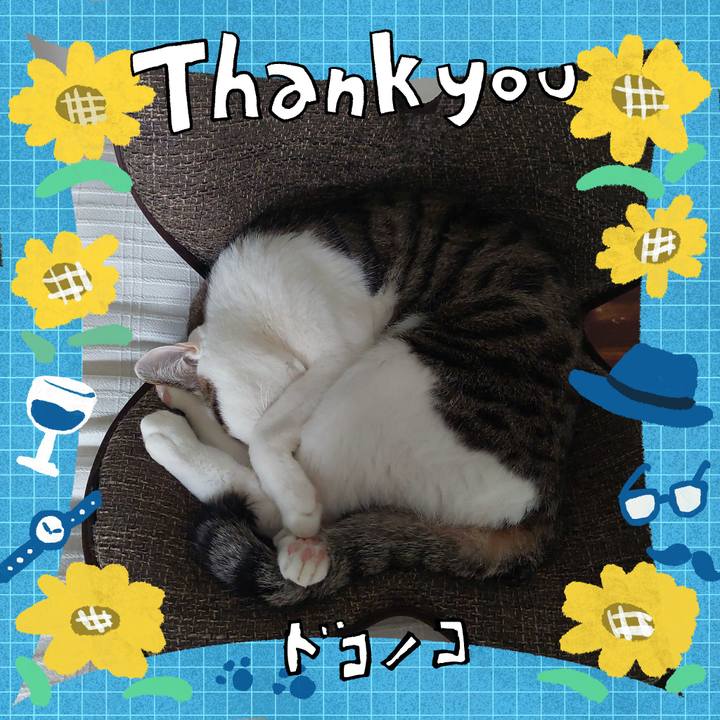 9977c636 f134 499d b119 b90d61d08e23 1718002640460