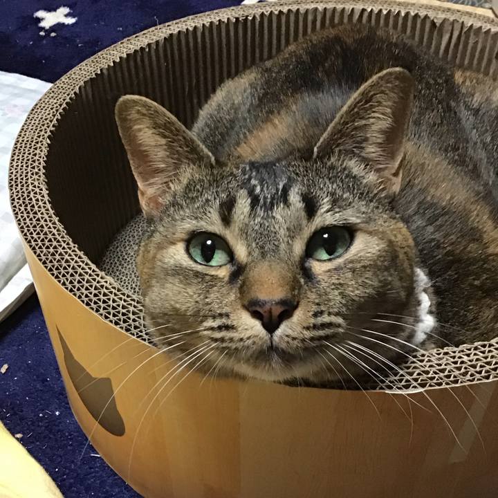 9977f32a f870 4aea 82eb b5c2b8d89f99 1737371438182