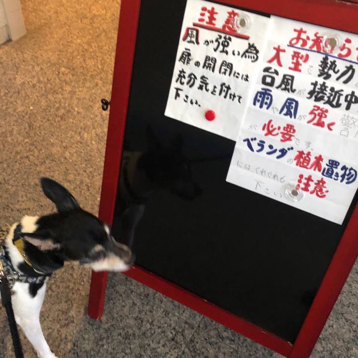 99780a64 2c80 4e99 9aba 1e42aec90b5e 1535023806130