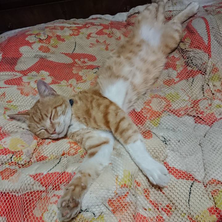 99783525 d948 4a45 ac2c 1179f28eef9a 1561123446598