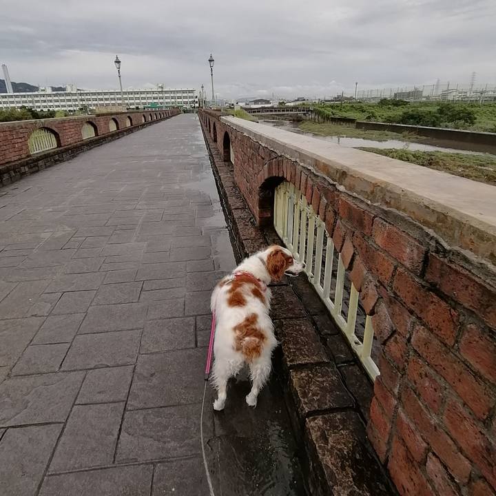 99784778 5cd2 473d 8f94 ad097e12ebb4 1594265006666