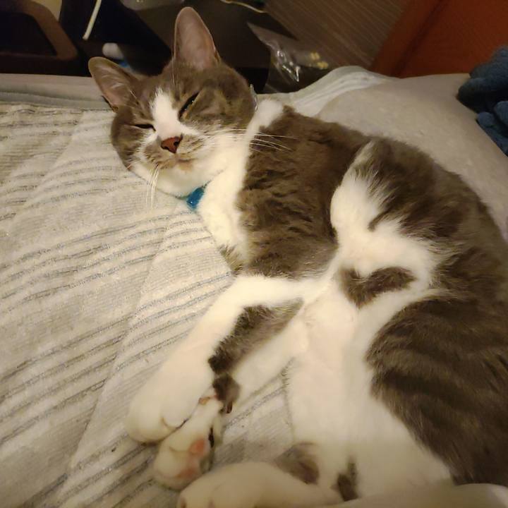 9978ace9 63cd 44ff b78c 54a000be1a34 1718103899670