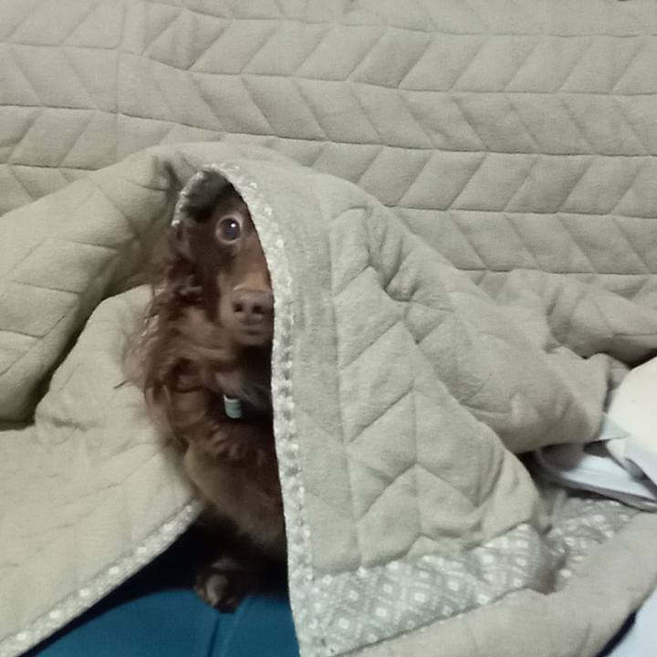 9978db32 4b69 4270 957b 7301e5de61d4 1763765091065