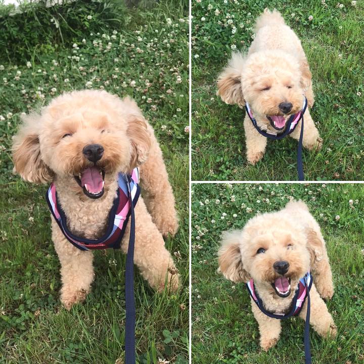 997911ef 85a9 4220 bc6e 1ec585054282 1589878175549