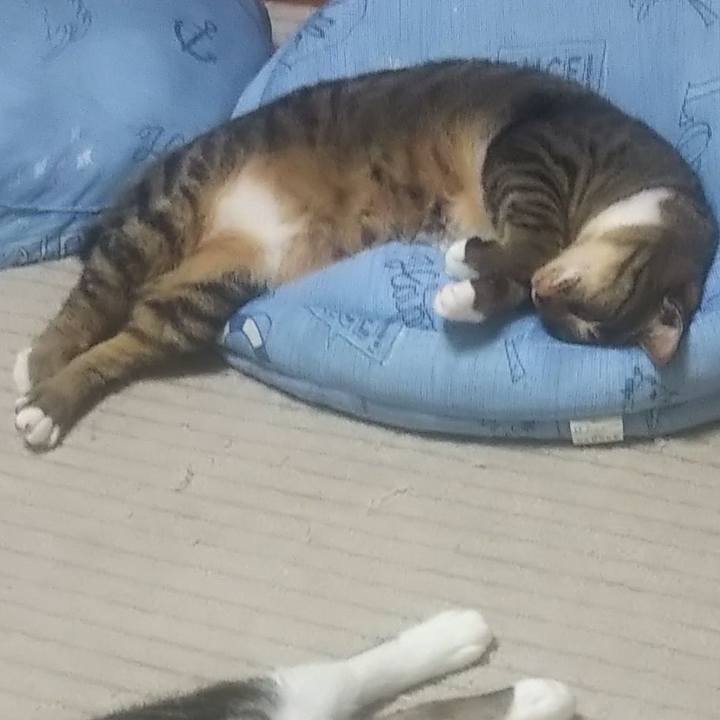 9979271a fe49 4b31 baa1 28e2b178d8e2 1625233338705