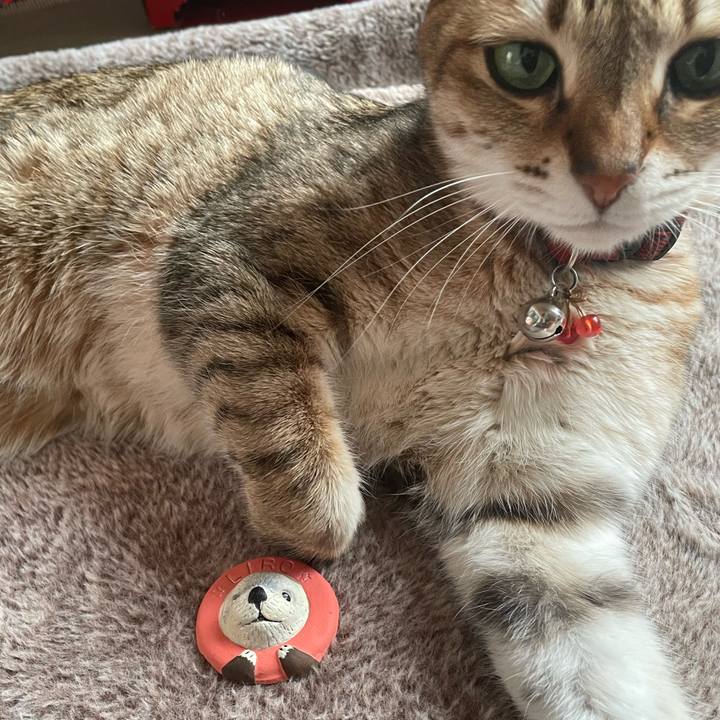 997934a8 436f 4be4 8df3 4c3f19c319fd 1710810046739