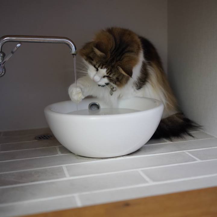 99794081 ede4 4432 824e e5c169eb1d12 1626066301315