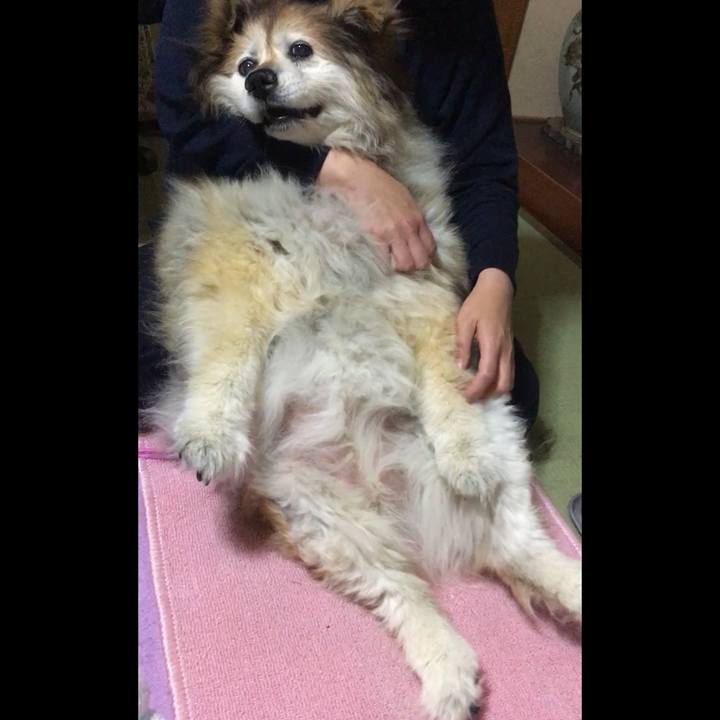 99797561 c0b4 4be3 a9de cbc36ff9b841 1658474733265