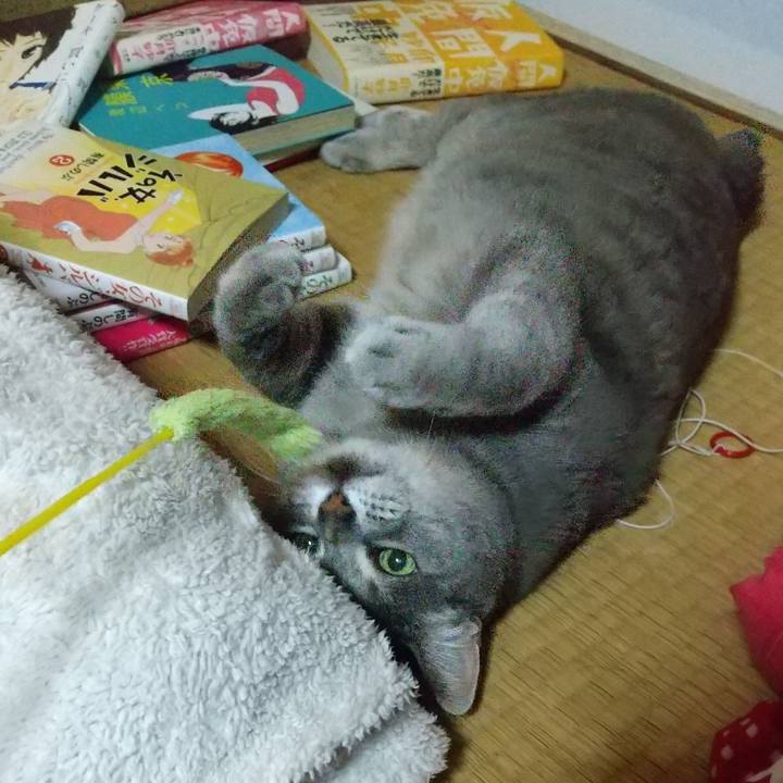 9979c724 4f87 4a0d aca4 64564934819d 1616245378106