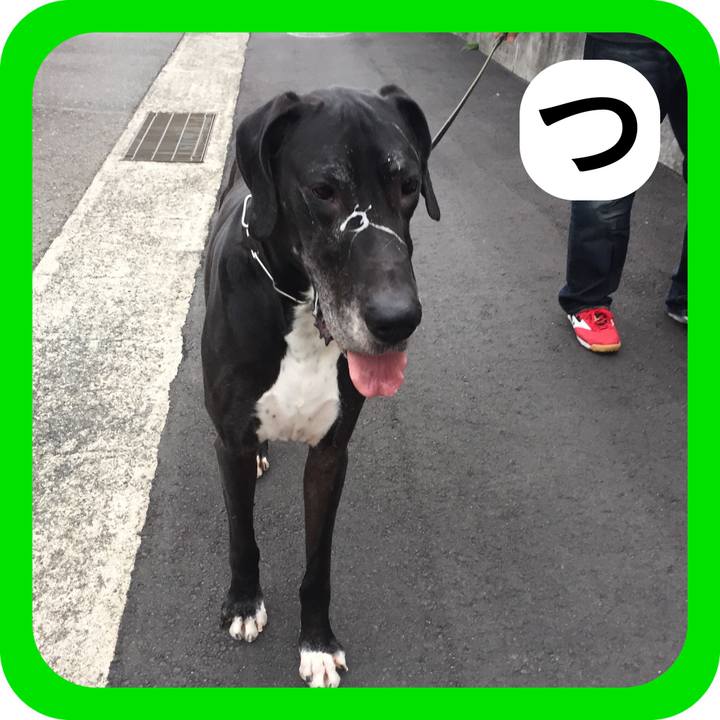 997a1ce7 2f1f 4fd6 b33d cb015d965d2d 1515299396590