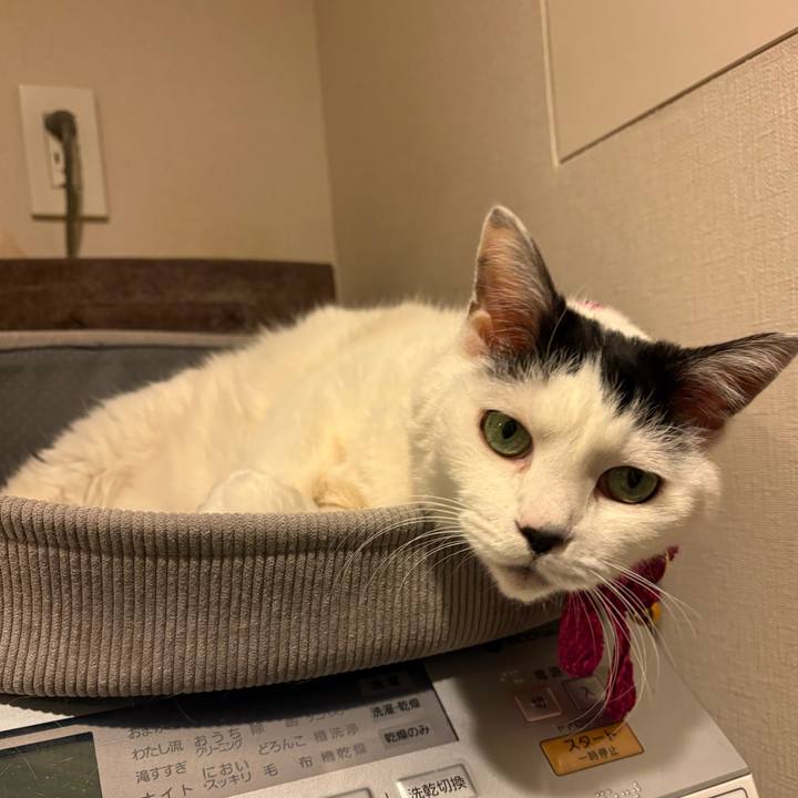 997a694a 134c 4e14 bddc 7f6c15266d67 1771166645790