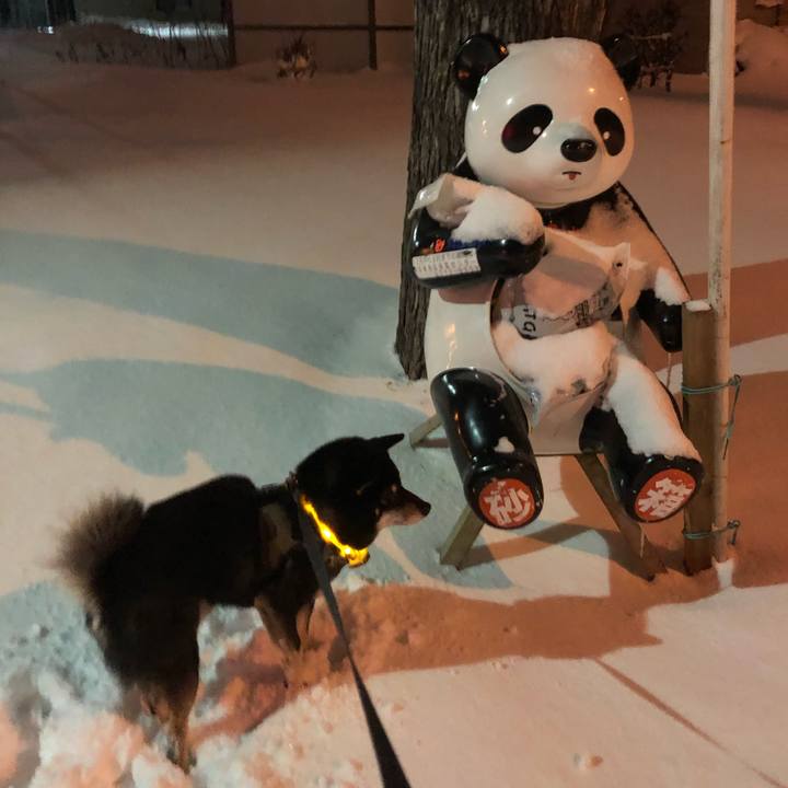 997a7b3c 90c8 40af af0a f777e5f345df 1608436104953