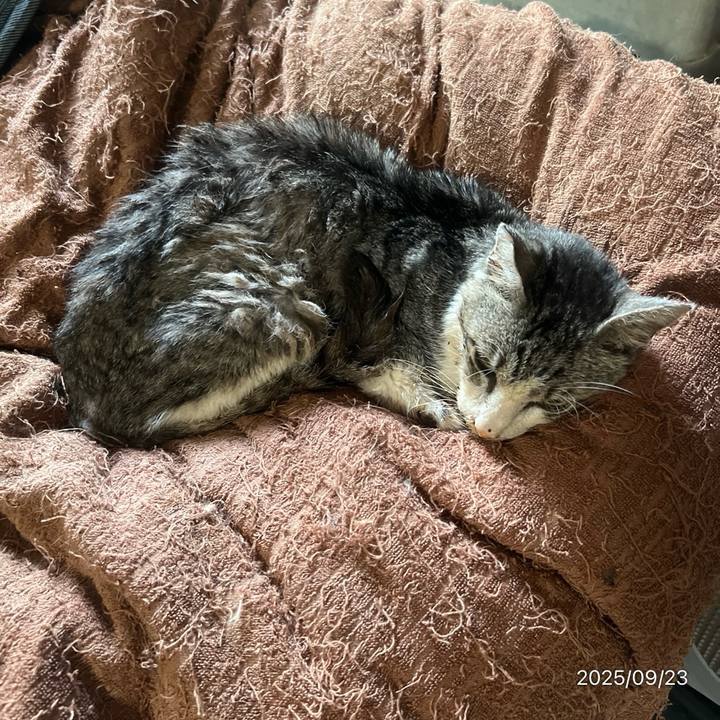 997b0a69 b2da 4ae5 8695 1baa82a4223a 1758585281256