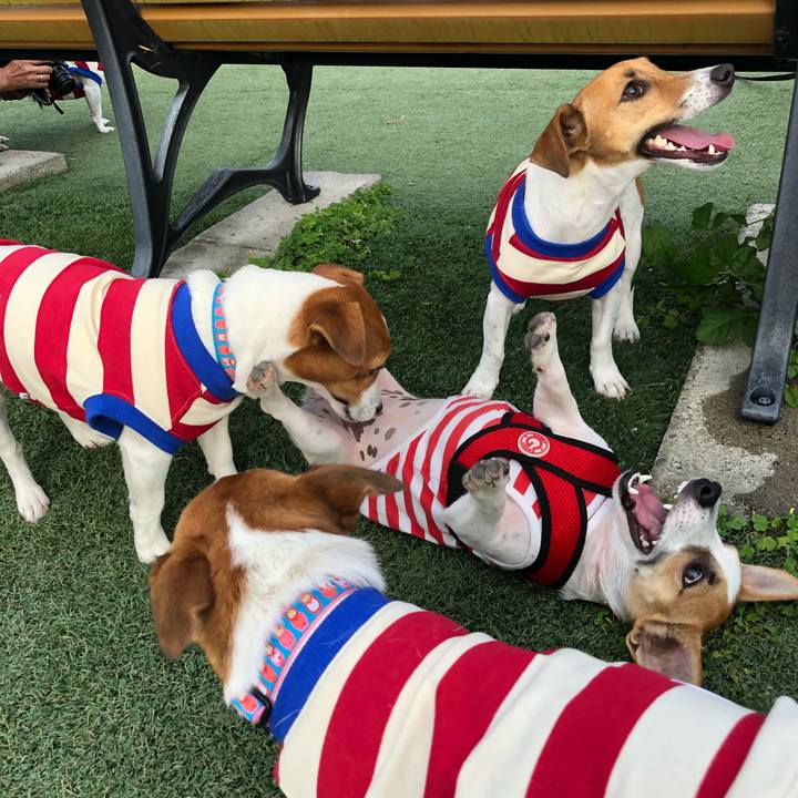 997b3ba4 0972 41a3 8664 0b2e57813d86 1571579031288