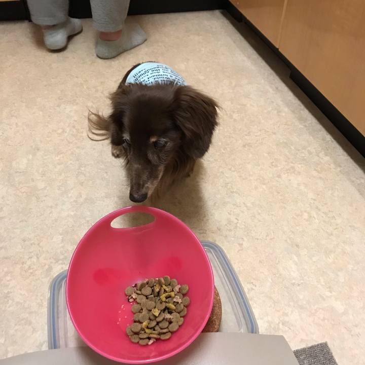 997b47fe d848 4acb b683 8ca022da78f9 1554125173190