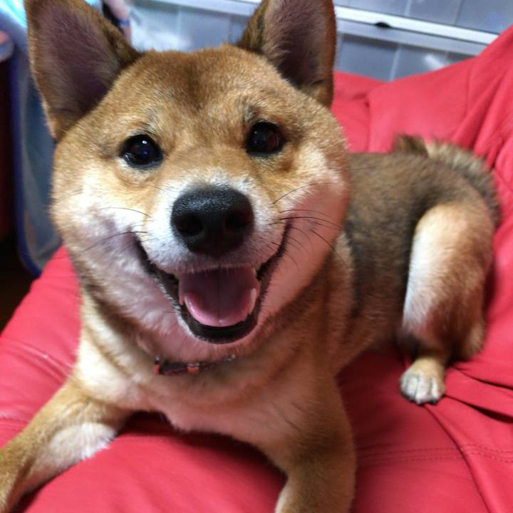 997b4ad7 7b2e 4693 9623 778483d01da7 1523922179174