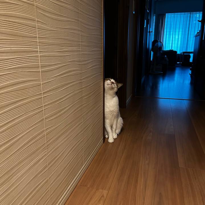 997b4fc0 a045 48b5 bb18 984dc293755a 1758513175524