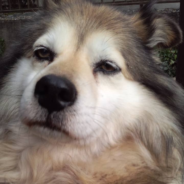 997b5cd6 75bd 40e6 b027 fd29605c182f 1579481554970