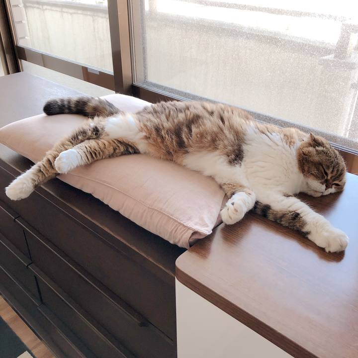 997b6529 52da 40d2 92ea b83231cf7f49 1564548407211