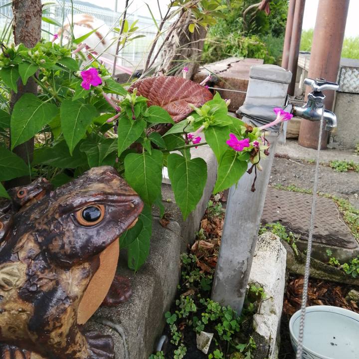 997b7057 2564 43dc ad6b 4c854b9b6a89 1628300050480