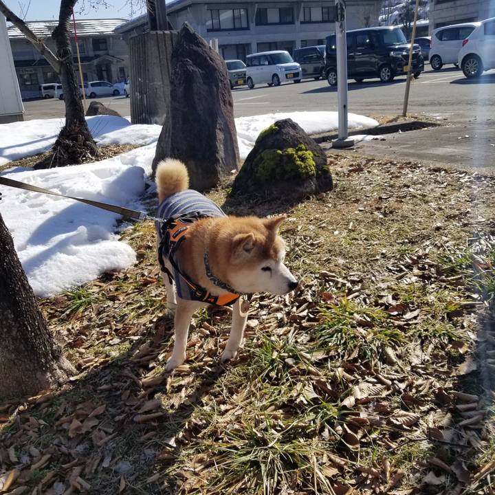 997b75d0 638d 48eb ad03 d042b561353a 1708134582353