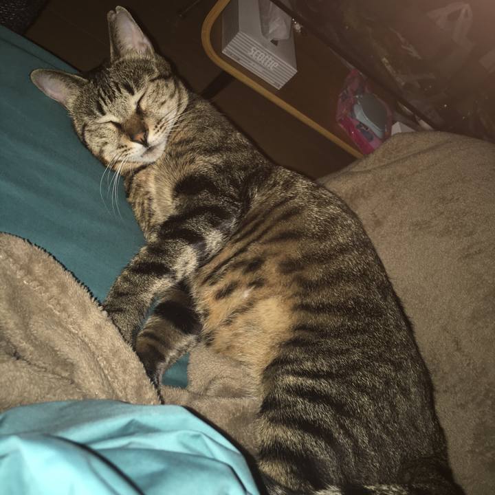 997b9bbb 1d80 4135 adef 3a4798166ca3 1524848049476