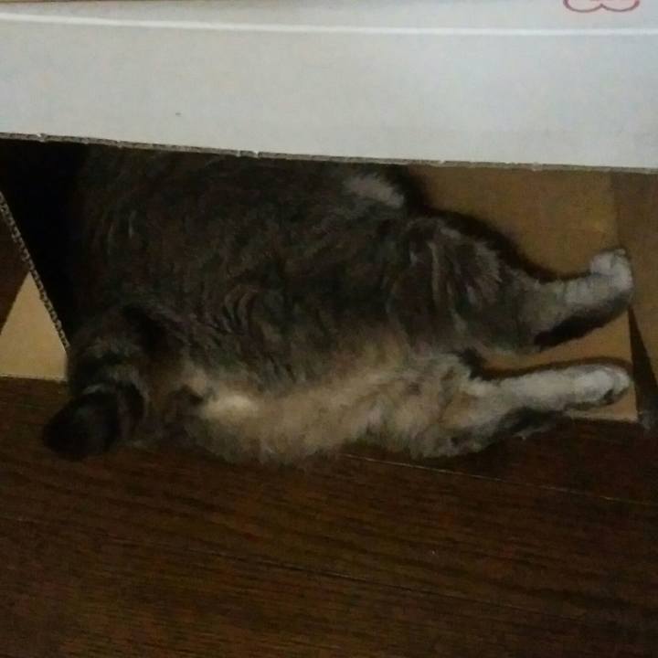 997bac54 77a8 4fb7 94b9 9e52bc77ca32 1558349021597