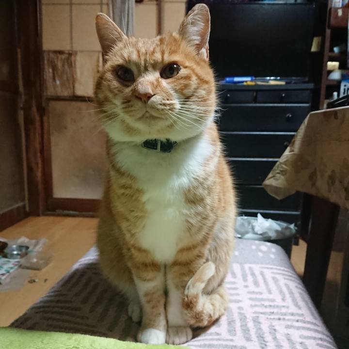 997bb331 2026 4f71 b7b5 709b344568d2 1607974996057