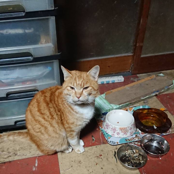 997bc5a4 652f 4049 812a bd72daf2ead6 1580759546423