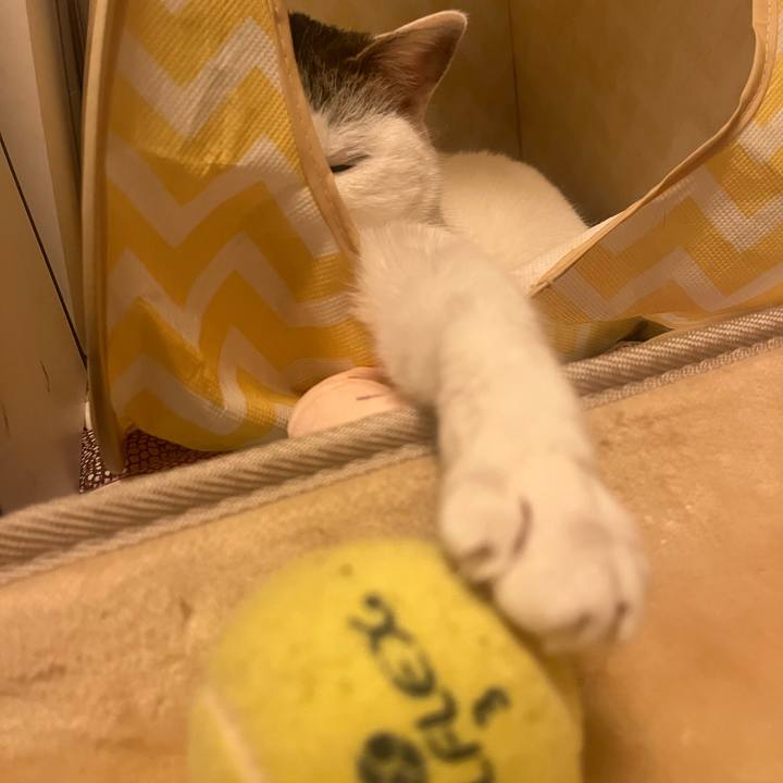 997bd2b4 c936 4fd0 9048 d4c3db1c4bae 1739541814681