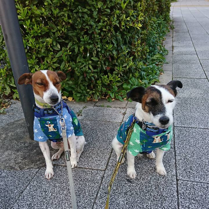 997bfeeb 8f00 4ea2 99ee 879a80d5a8d2 1605397266118