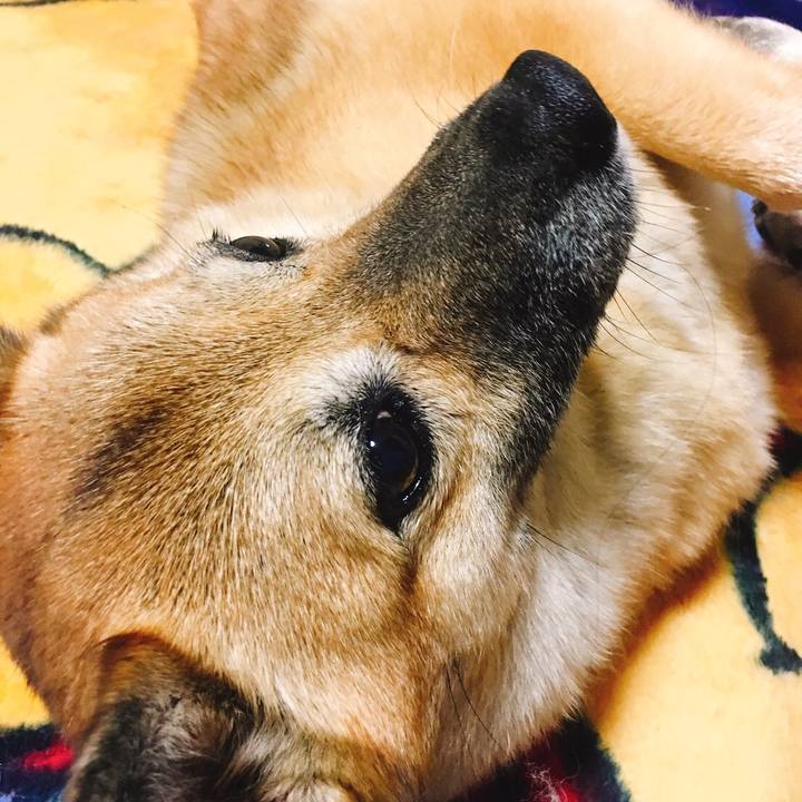 997c093f 858f 476f b3ef f599e58e4822 1507946198111