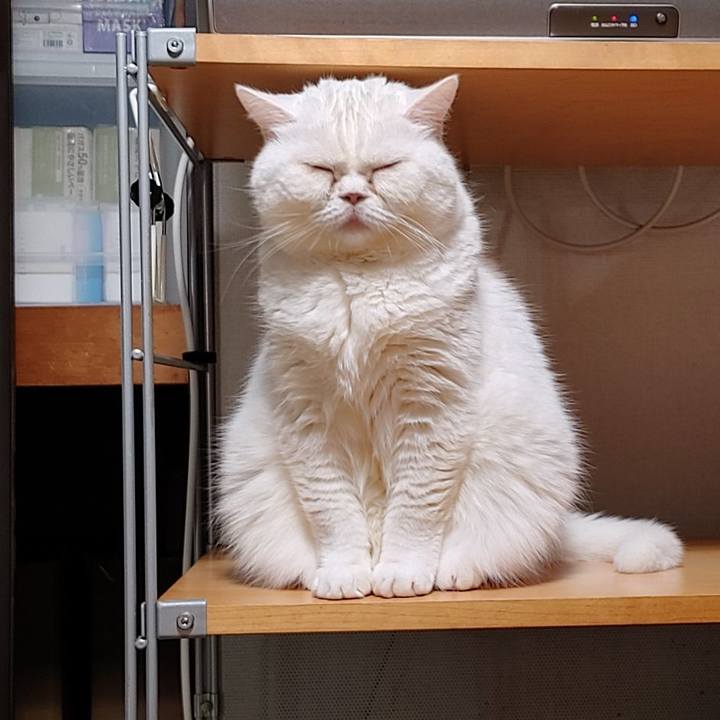 997ca7e1 e019 459d 8295 659fa222e83b 1676986620060