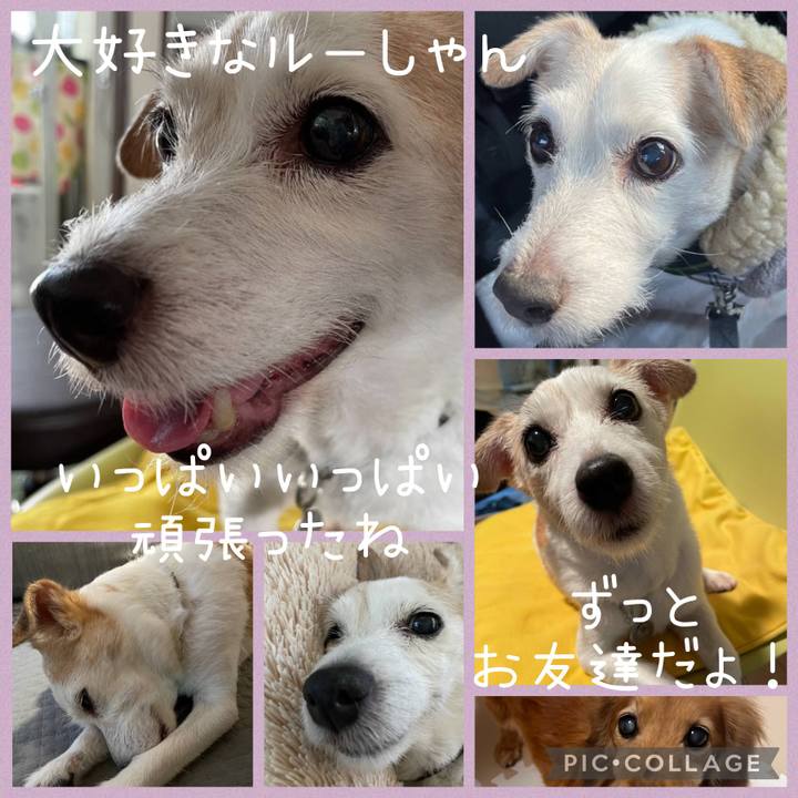 997cbdfe 3d17 4470 aede a53e5be3dd5a 1650875860938