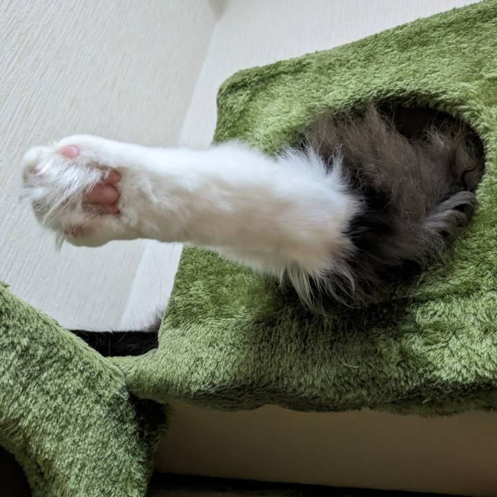 997cd081 0d5a 4127 9576 fa2c3a7a5368 1688438197635