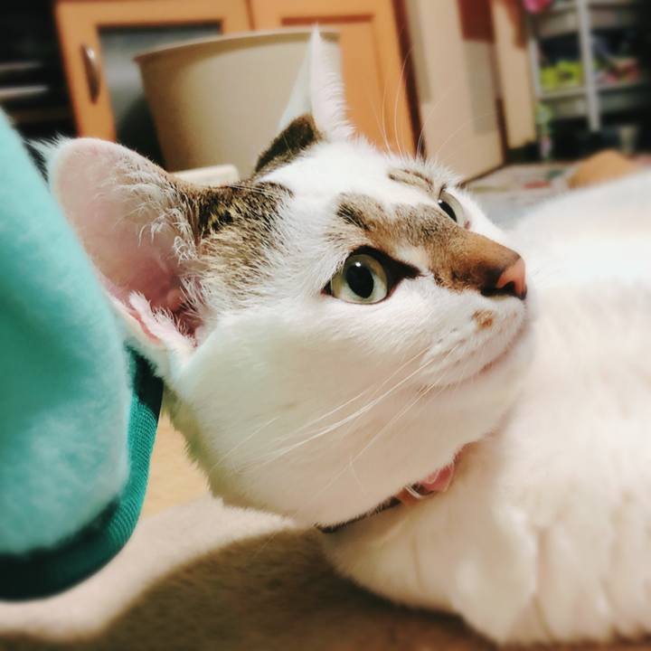 997ce04b ada5 48ee 8008 1562b5ce62ec 1520942448503