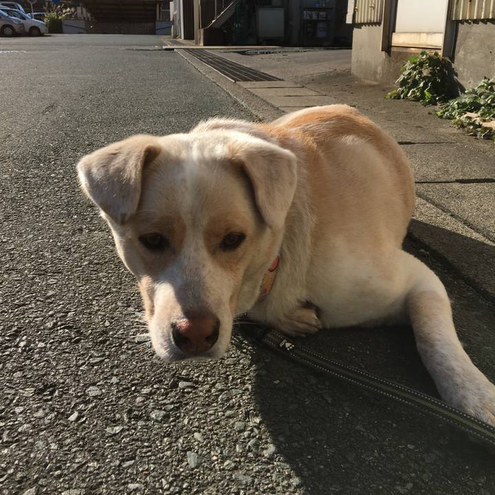 997d01d7 1c04 48aa 8f04 5d57c52e22d6 1508974073747