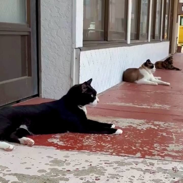 997d0a4c 6d6e 4430 801b 7db15596a344 1751595913752