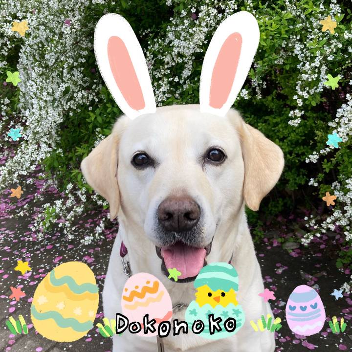 997d1ced 90fa 46d4 8fdc 8df09aabc4fa 1712586060256