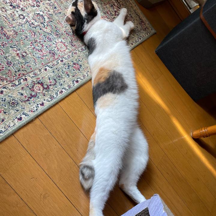 997d1d49 2082 4136 a06c 736df014df63 1724631133376