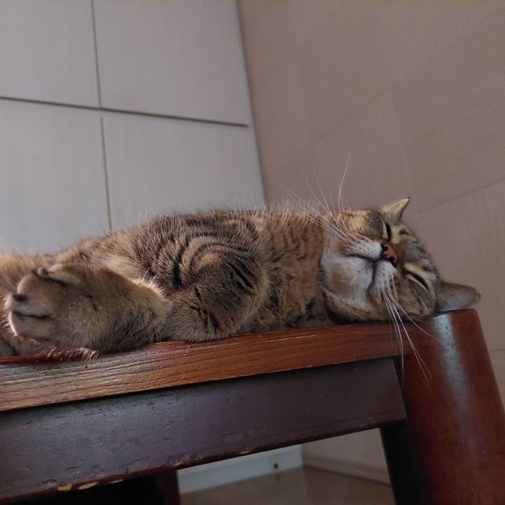 997d2260 18a4 464e 8580 68aec569b7ff 1634502168605