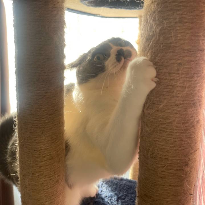 997d9345 fa7e 4e19 a116 23ad9acdffd8 1731885595977