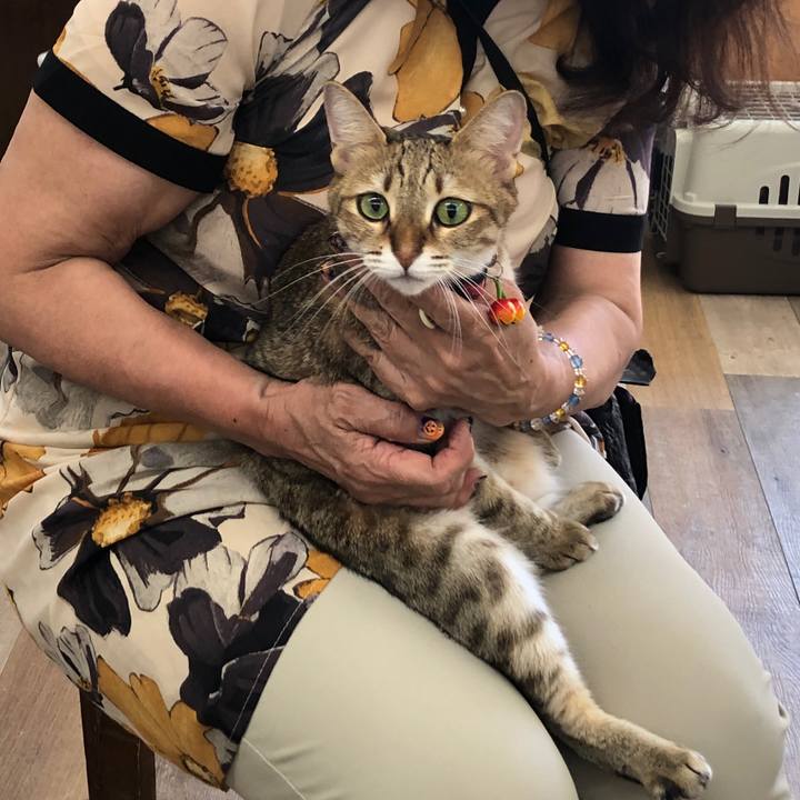 997dadb7 ede8 4422 a3a8 d46b0c1cd59d 1632880820460