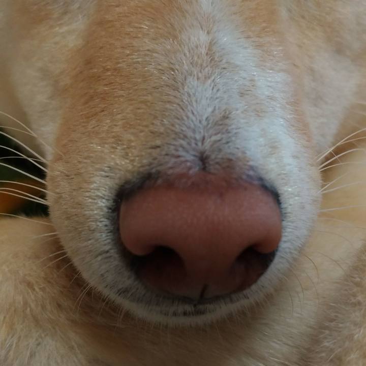 997e2b8a e8eb 44e1 8c6f 2d5ecde0c93d 1523619083815