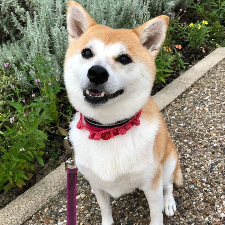 997e43d2 dead 4b19 839a 0a0317dd62f2 1535850088869