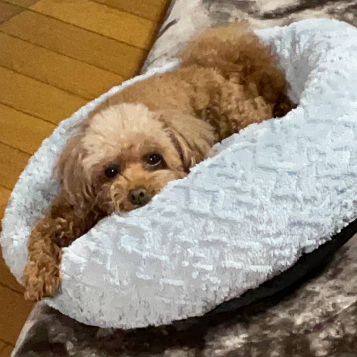 997e5aac fbc9 4249 96e9 9b8c11a464b6 1699882282230