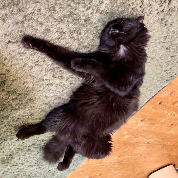 997e9c9d e9f7 43c7 8f88 c8c6bc68ff23 1754352132644